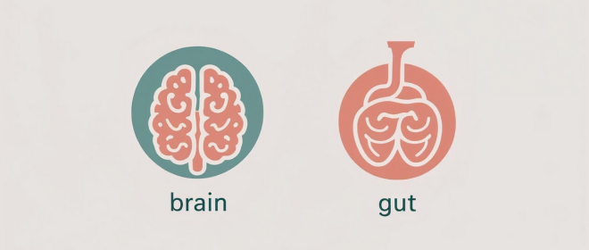 Boost Brain Health Naturally with Good Gut Health